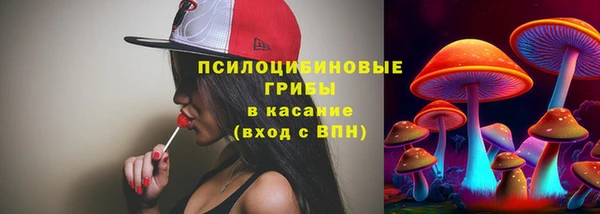 первитин Богородицк
