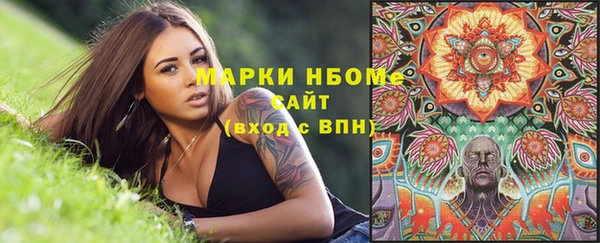 МДПВ Бородино