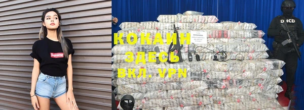 первитин Богородицк