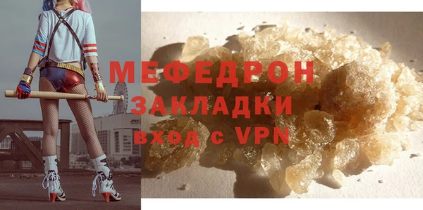 МДПВ Бородино