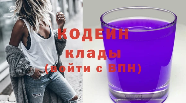 МДПВ Бородино