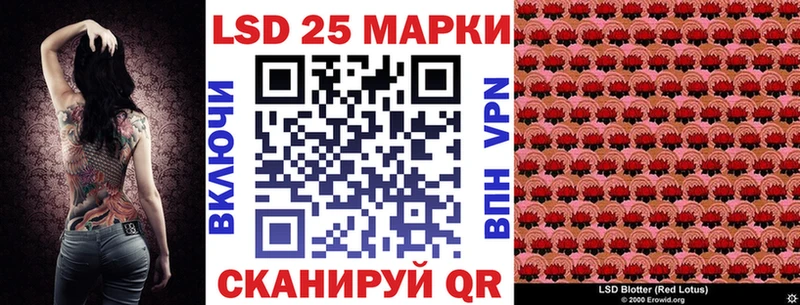 МЕГА ONION  продажа наркотиков  Духовщина  Марки 25I-NBOMe 1500мкг 