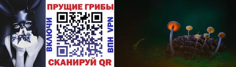 Галлюциногенные грибы Cubensis блэк спрут ТОР Духовщина наркотики